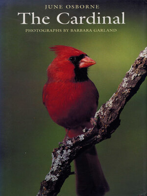 cover image of The Cardinal